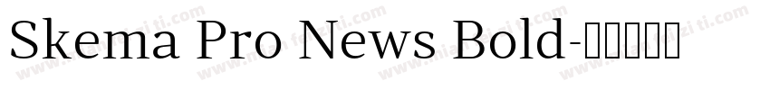 Skema Pro News Bold字体转换